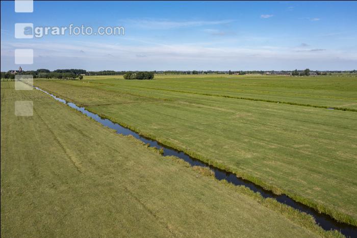 Polder Niederlande 7