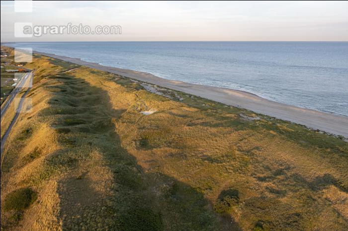 Nordseedeiche Holland 5