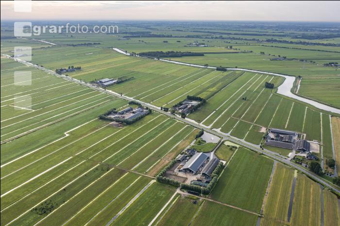 Polder Niederlande 5