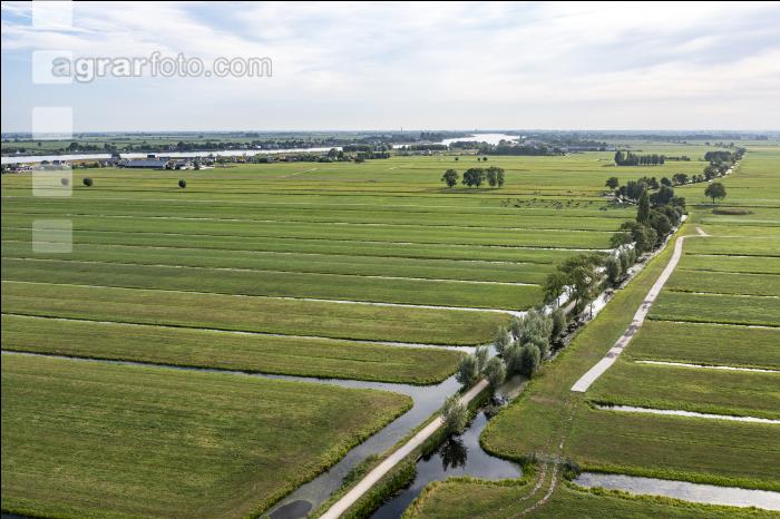 Polder Niederlande 1