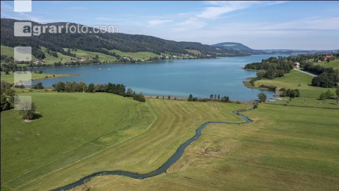 Irrsee Wassergüte 10