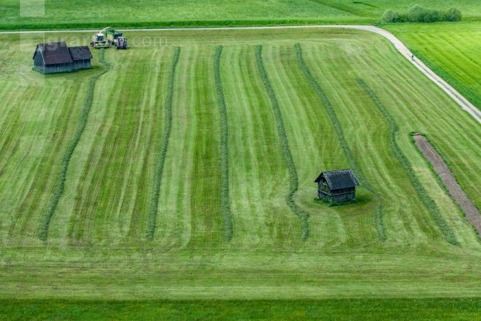 Gras häckseln 130